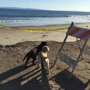 Meet your Posher, Gary